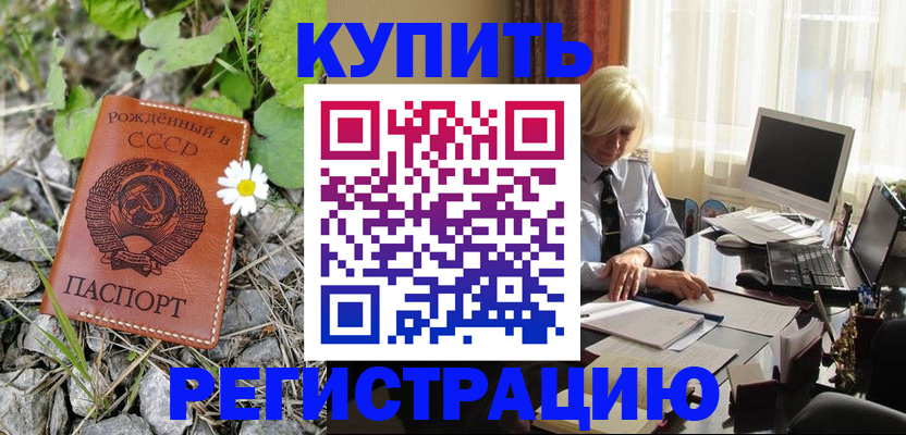 временная регистрация недорого в Новодвинске